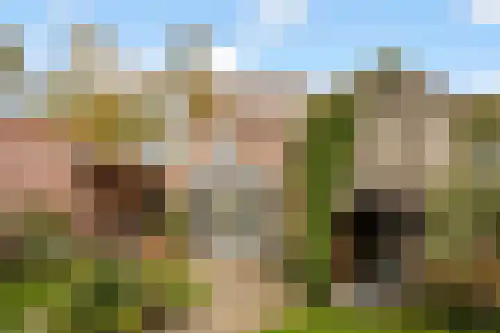 Boomgaardweg 47 Odijk thumbnail 36
