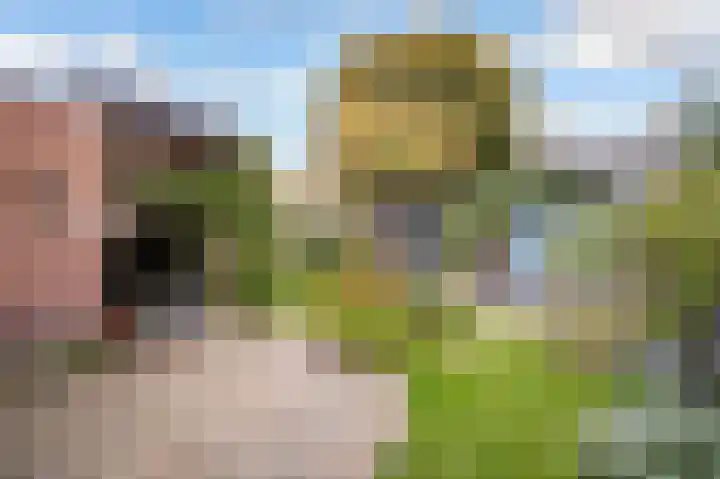 Boomgaardweg 47 Odijk thumbnail 4
