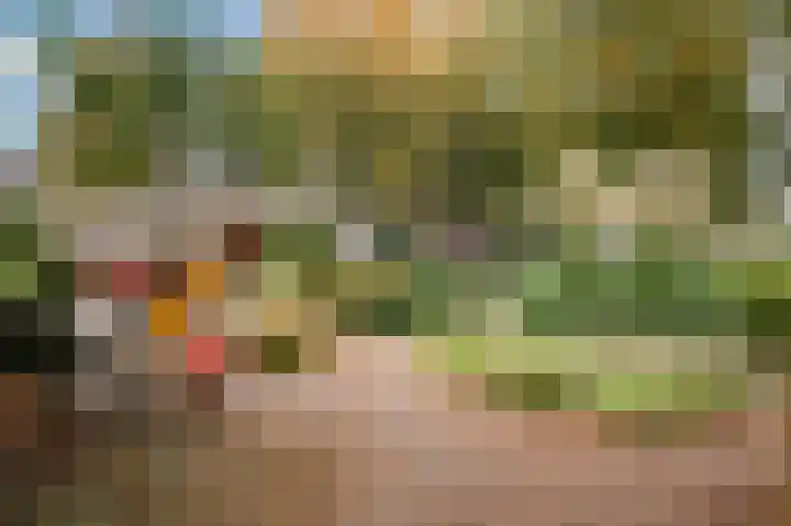 Boomgaardweg 47 Odijk thumbnail 42