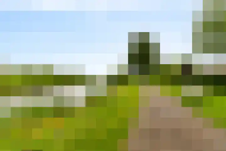 Boomgaardweg 47 Odijk thumbnail 44