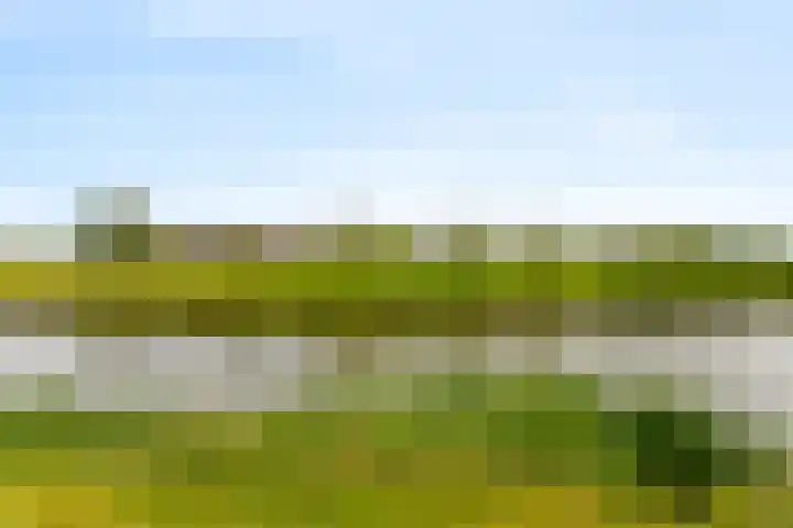 Boomgaardweg 47 Odijk thumbnail 46