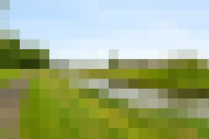 Boomgaardweg 47 Odijk thumbnail 5