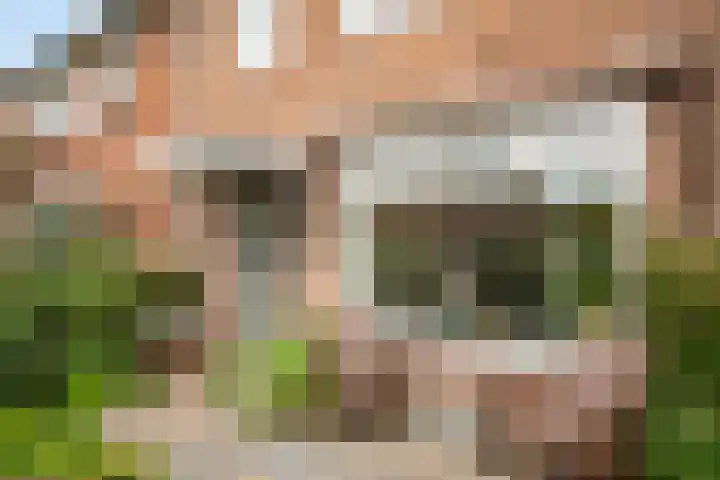 Boomgaardweg 47 Odijk thumbnail 6