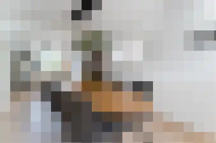 Boomgaardweg 65 Odijk thumbnail 14