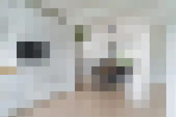Boomgaardweg 65 Odijk thumbnail 16