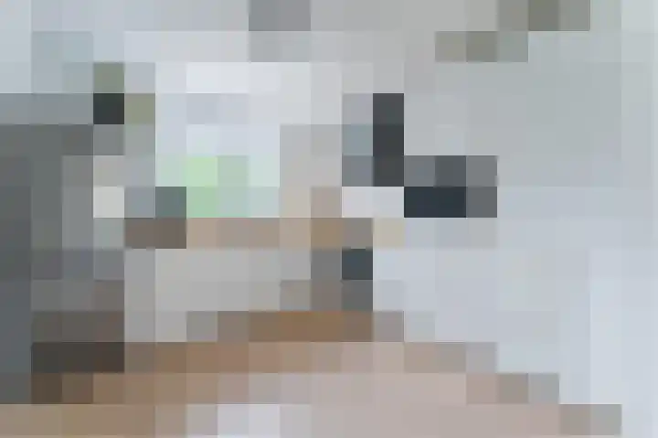 Boomgaardweg 65 Odijk thumbnail 17