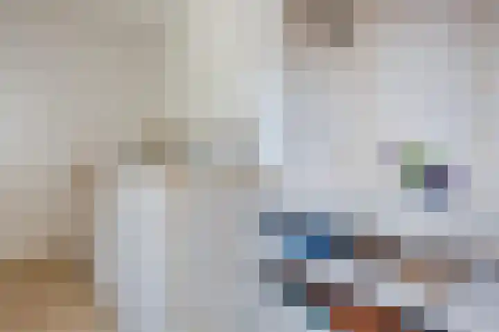 Boomgaardweg 65 Odijk thumbnail 28