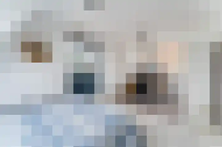 Boomgaardweg 65 Odijk thumbnail 30