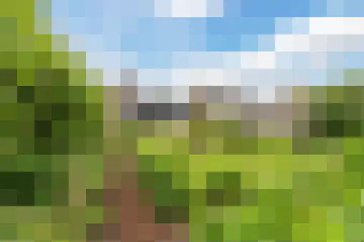 Boomgaardweg 65 Odijk thumbnail 40