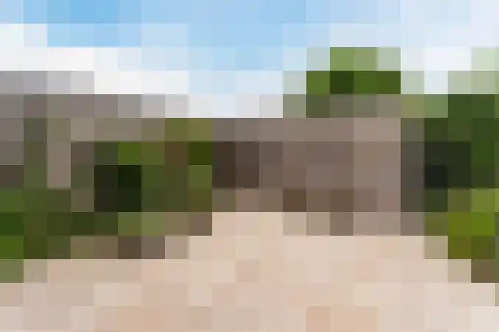 Boomgaardweg 65 Odijk thumbnail 43