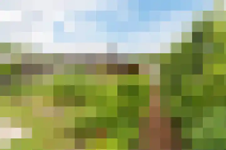 Boomgaardweg 65 Odijk thumbnail 44