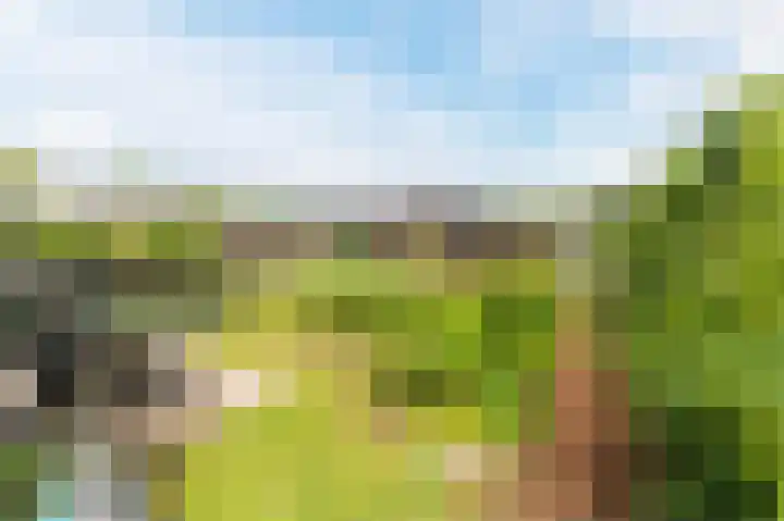 Boomgaardweg 65 Odijk thumbnail 45