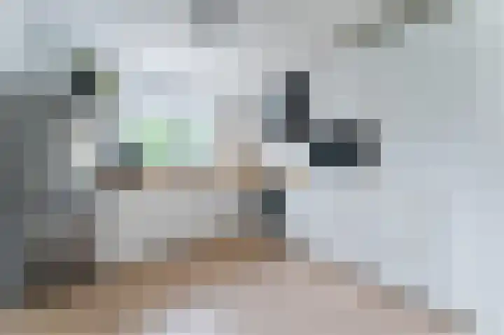 Boomgaardweg 65 Odijk thumbnail 5