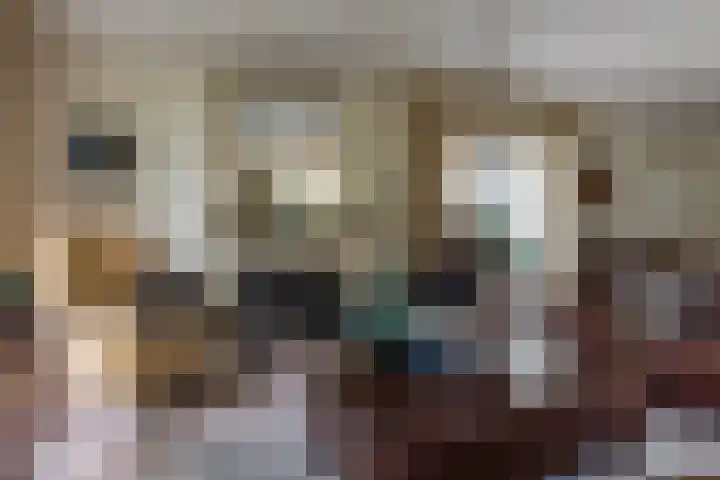 Boomheuvel 1 Best thumbnail 10