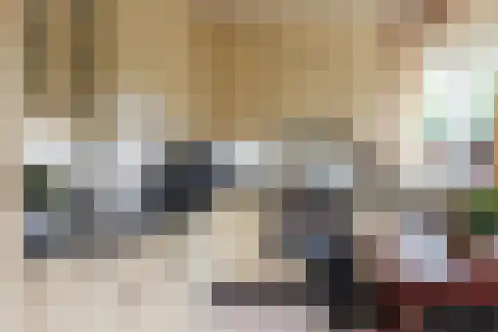 Boomheuvel 1 Best thumbnail 14