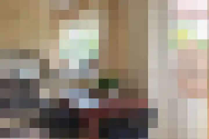 Boomheuvel 1 Best thumbnail 15