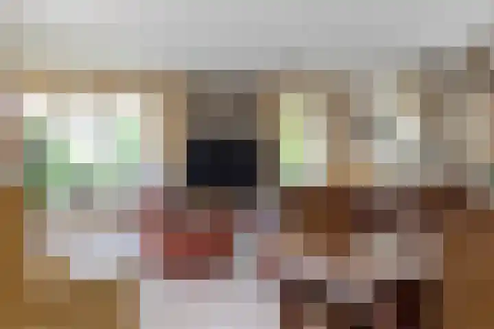 Boomheuvel 1 Best thumbnail 17
