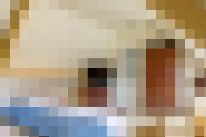 Boomheuvel 1 Best thumbnail 27