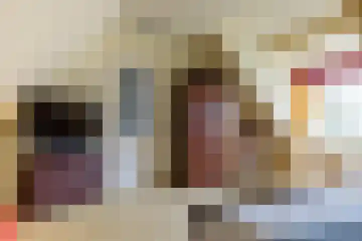 Boomheuvel 1 Best thumbnail 28
