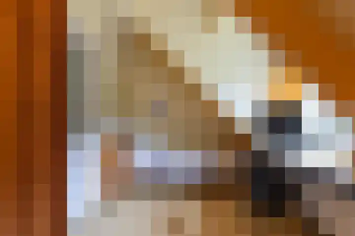Boomheuvel 1 Best thumbnail 31