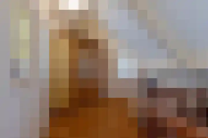 Boomheuvel 1 Best thumbnail 40