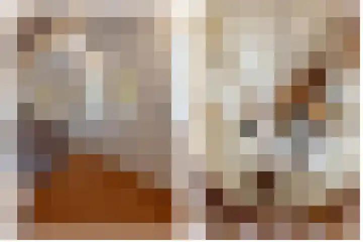 Boomheuvel 1 Best thumbnail 42