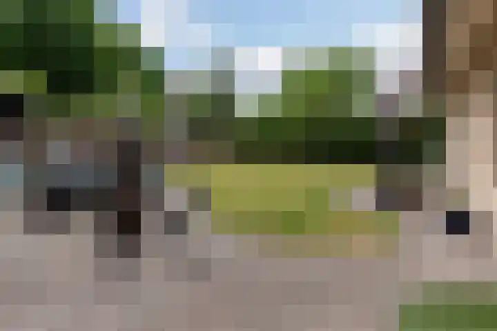 Boomheuvel 1 Best thumbnail 43