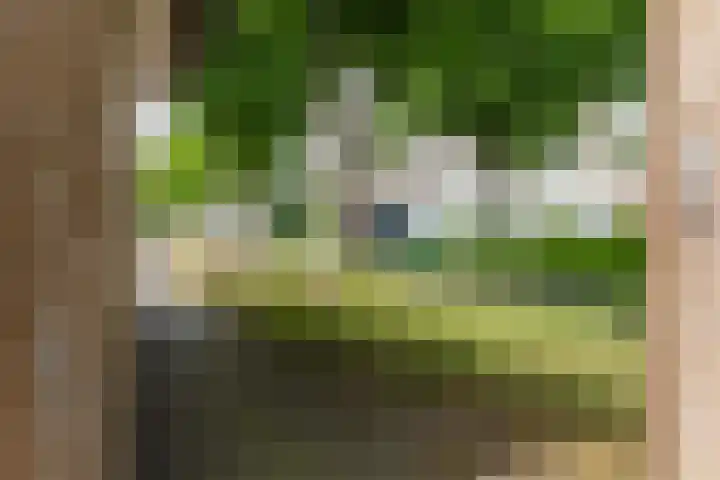 Boomheuvel 1 Best thumbnail 48