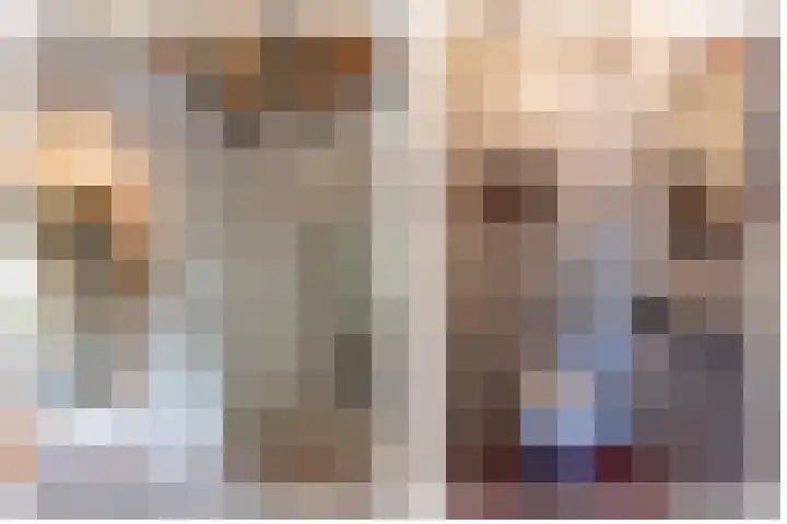 Boomheuvel 1 Best thumbnail 5