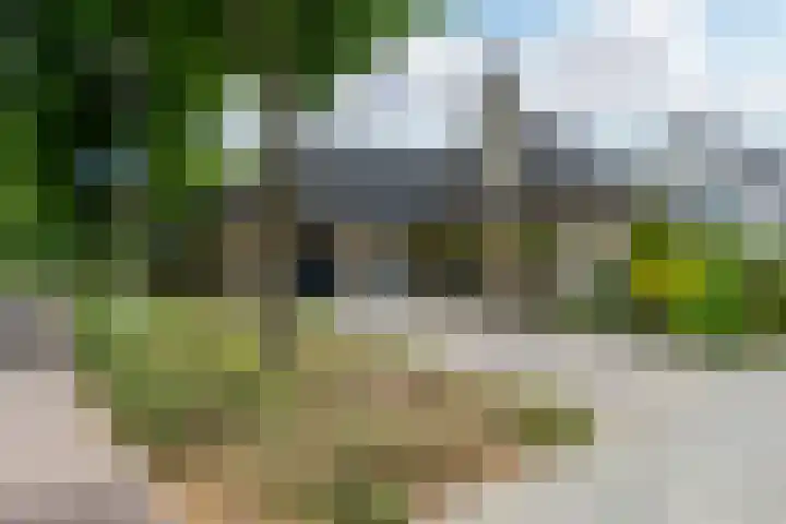 Boomheuvel 1 Best thumbnail 7