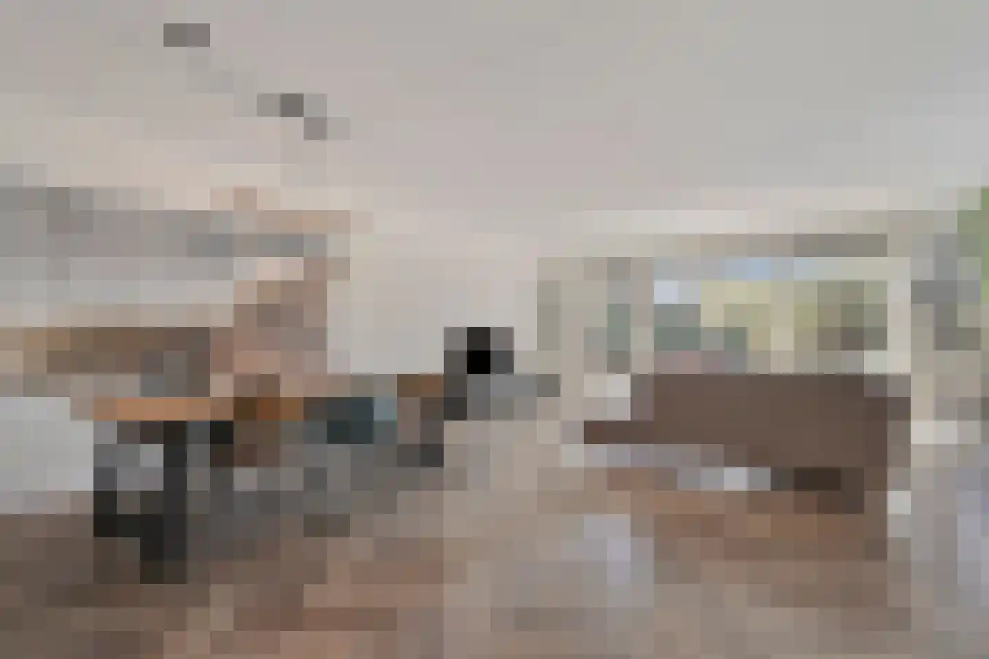 Boomkruiperzoom 8 Pijnacker thumbnail 10