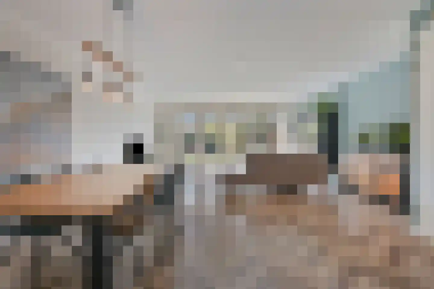 Boomkruiperzoom 8 Pijnacker thumbnail 11