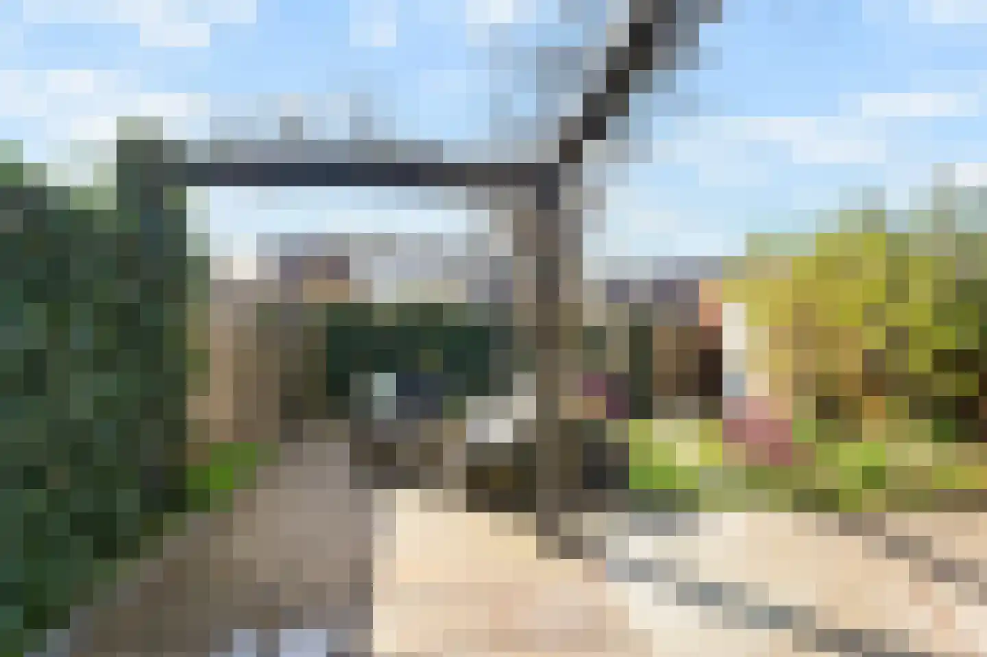 Boomkruiperzoom 8 Pijnacker thumbnail 14