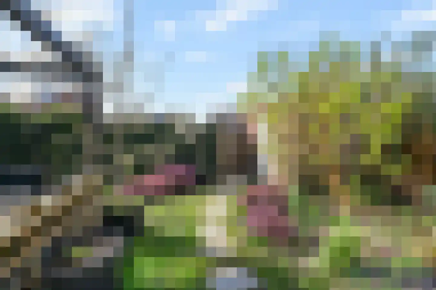 Boomkruiperzoom 8 Pijnacker thumbnail 15