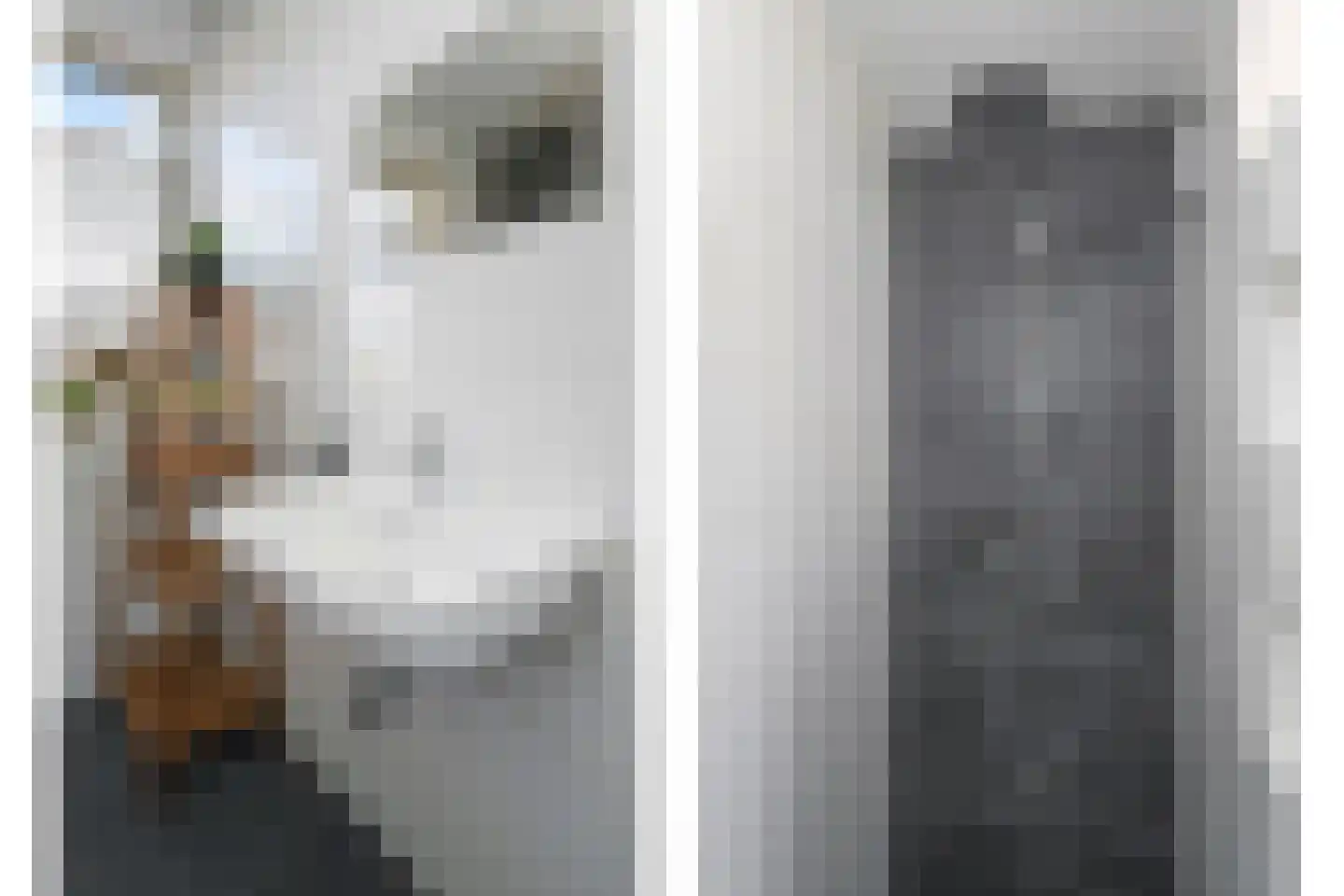 Boomkruiperzoom 8 Pijnacker thumbnail 34