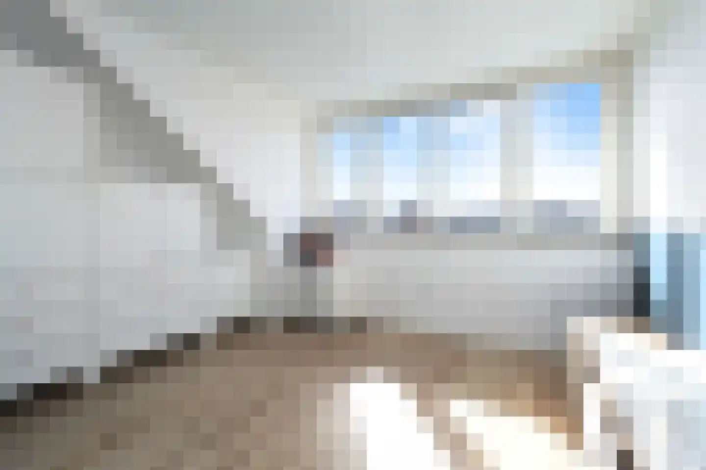 Boomkruiperzoom 8 Pijnacker thumbnail 41