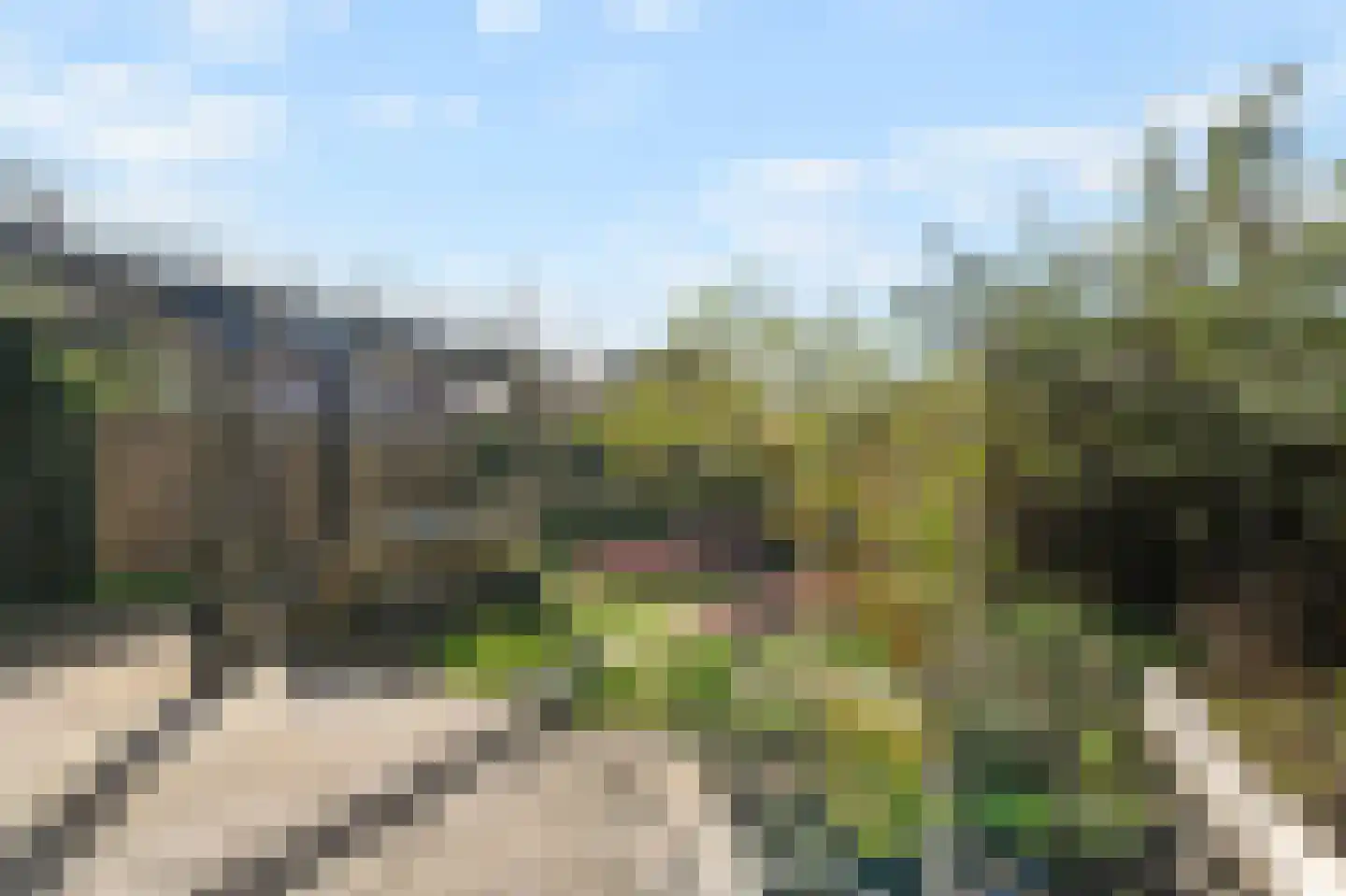 Boomkruiperzoom 8 Pijnacker thumbnail 5
