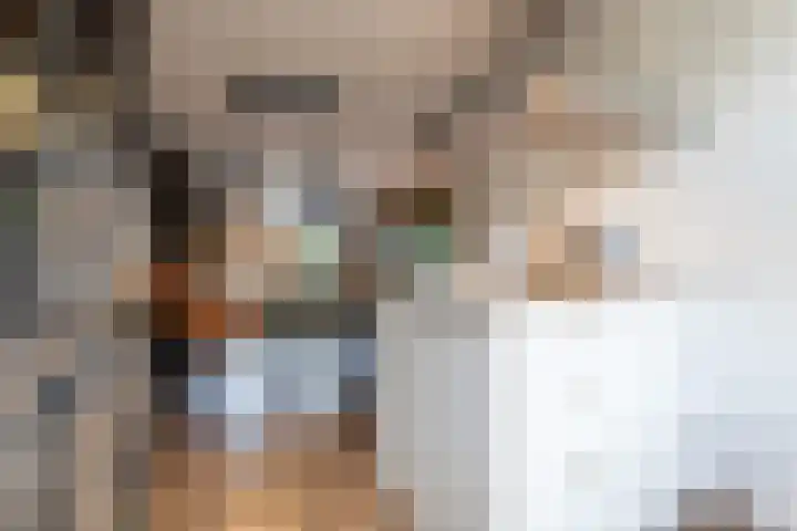 Boommarter 14 Dorst thumbnail 13