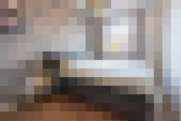 Boommarter 14 Dorst thumbnail 15