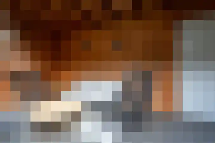 Boommarter 14 Dorst thumbnail 26
