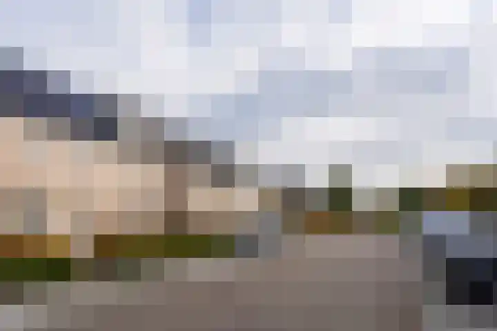 Boommarter 14 Dorst thumbnail 29