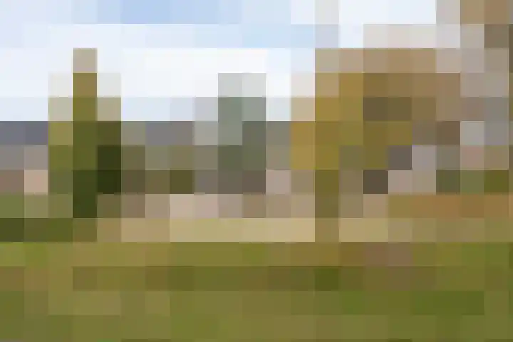 Boommarter 14 Dorst thumbnail 31