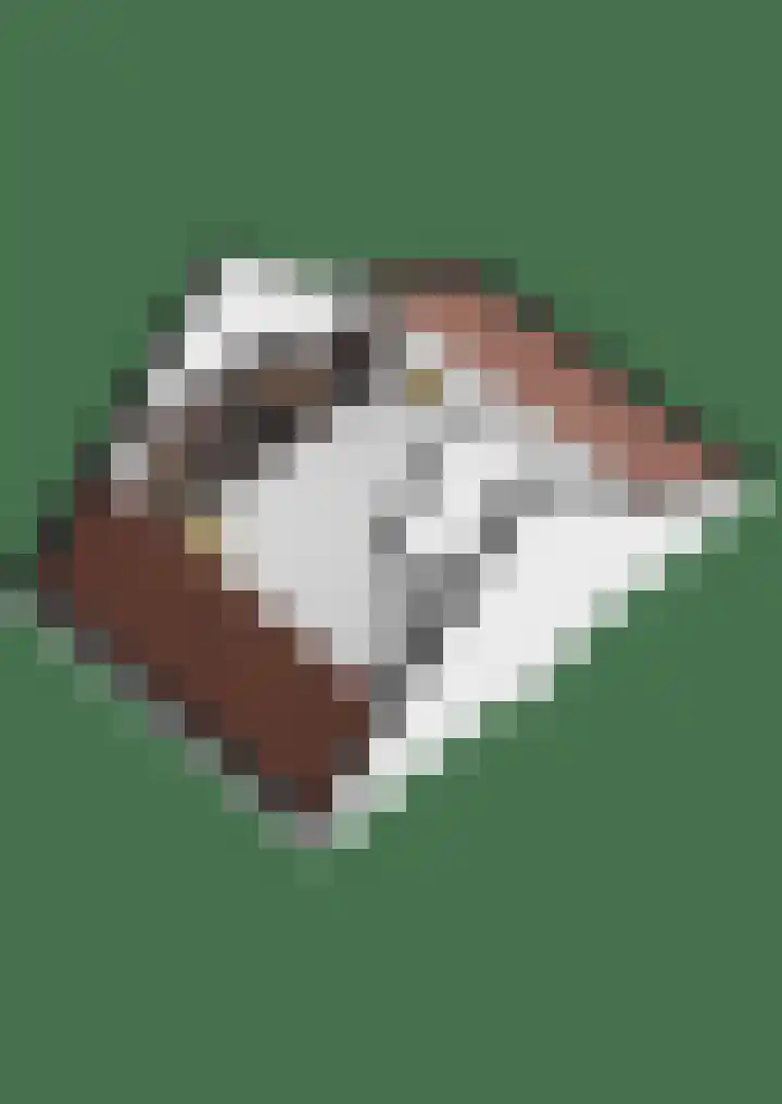 Boommarter 14 Dorst thumbnail 43