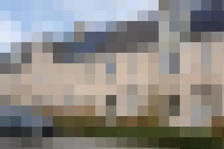 Boommarter 14 Dorst thumbnail 5
