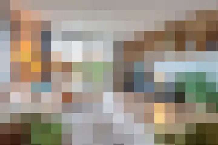 Boommarter 14 Dorst thumbnail 9