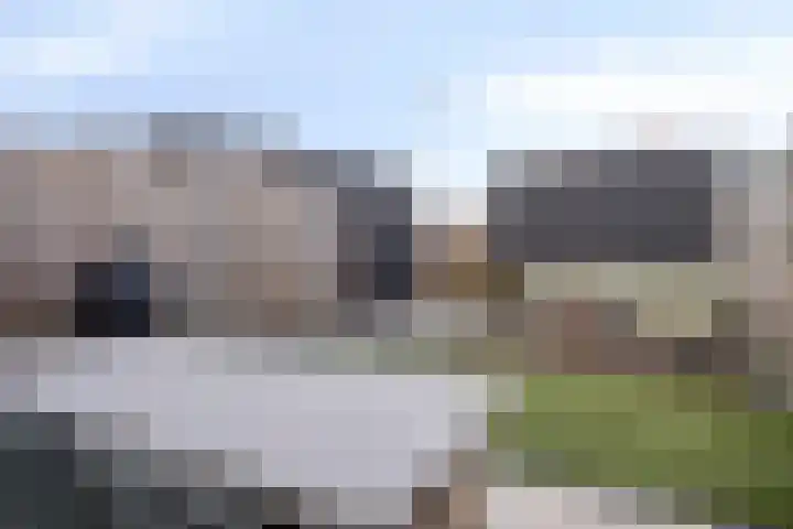 Boommarter 4 Boxtel thumbnail 26