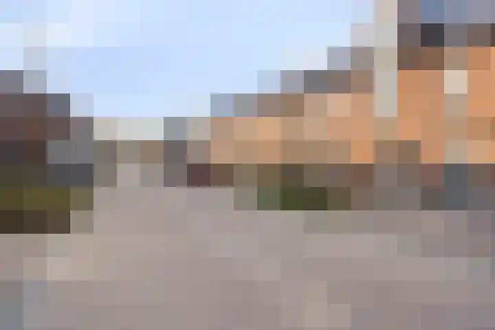 Boommarter 4 Boxtel thumbnail 29
