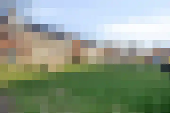 Boommarter 4 Boxtel thumbnail 31