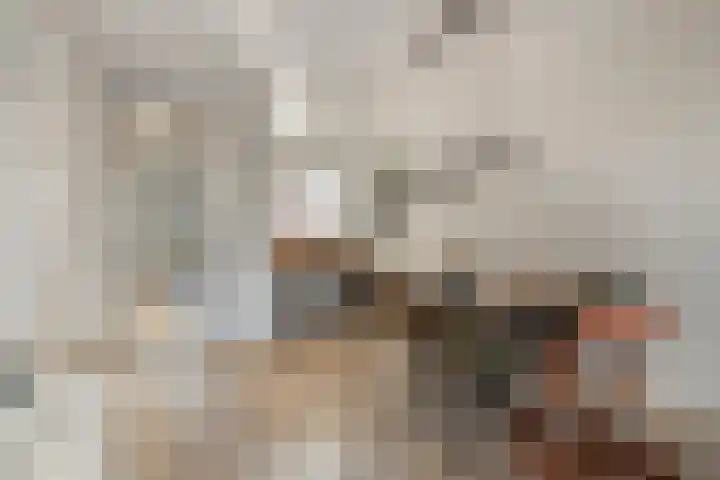 Boommarter 4 Boxtel thumbnail 9