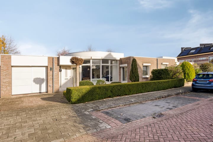 Boommarter 5 in Veldhoven foto